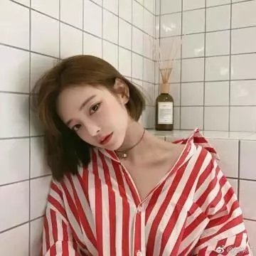 禁止入内的鼹鼠