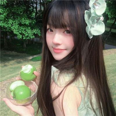 欧栗树